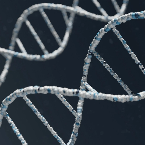Verträge im Gesundheitswesen rechtssicher gestalten und prüfen lassen DNA-Darstellung symbolisiert rechtliche Prüfung und Gestaltung von Verträgen im Gesundheitswesen