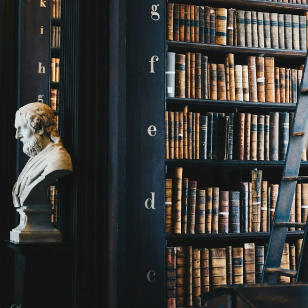 Juristische Fachbibliothek einer Anwaltskanzlei in Hannover